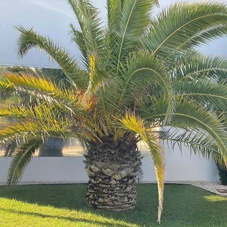 Bahia - Luxury - Beachfront Villa Sete