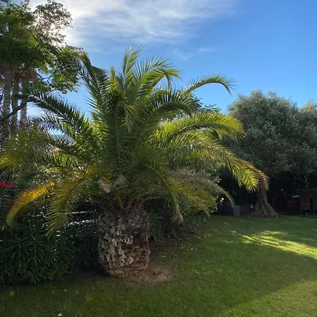 Bahia - Luxury - Beachfront Sete