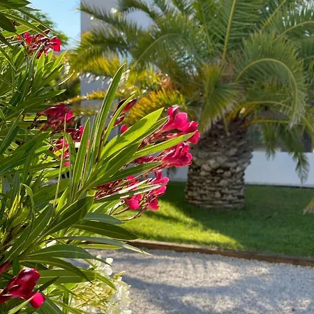 Bahia - Luxury - Beachfront *