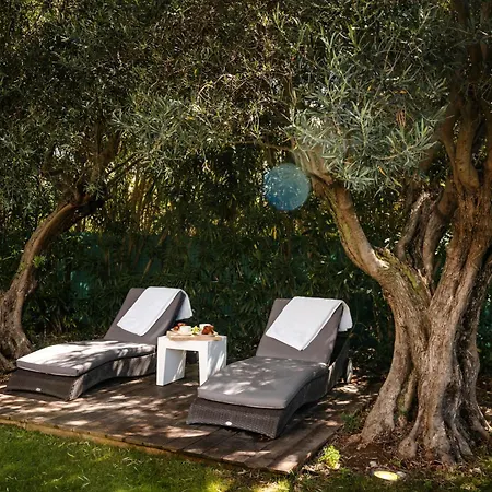 Bahia - Luxury - Beachfront Villa