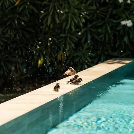 Villa Bahia - Luxury - Beachfront Sète