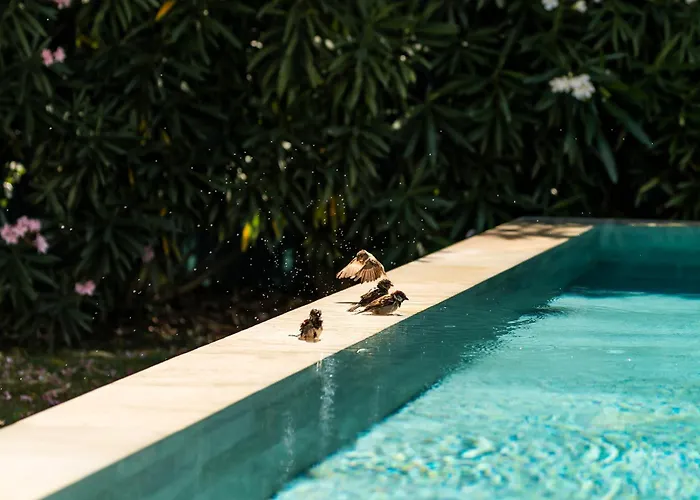 فيلة Bahia - Luxury - Beachfront سُت